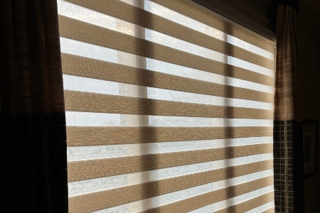 Zebra Shades Thumbnail